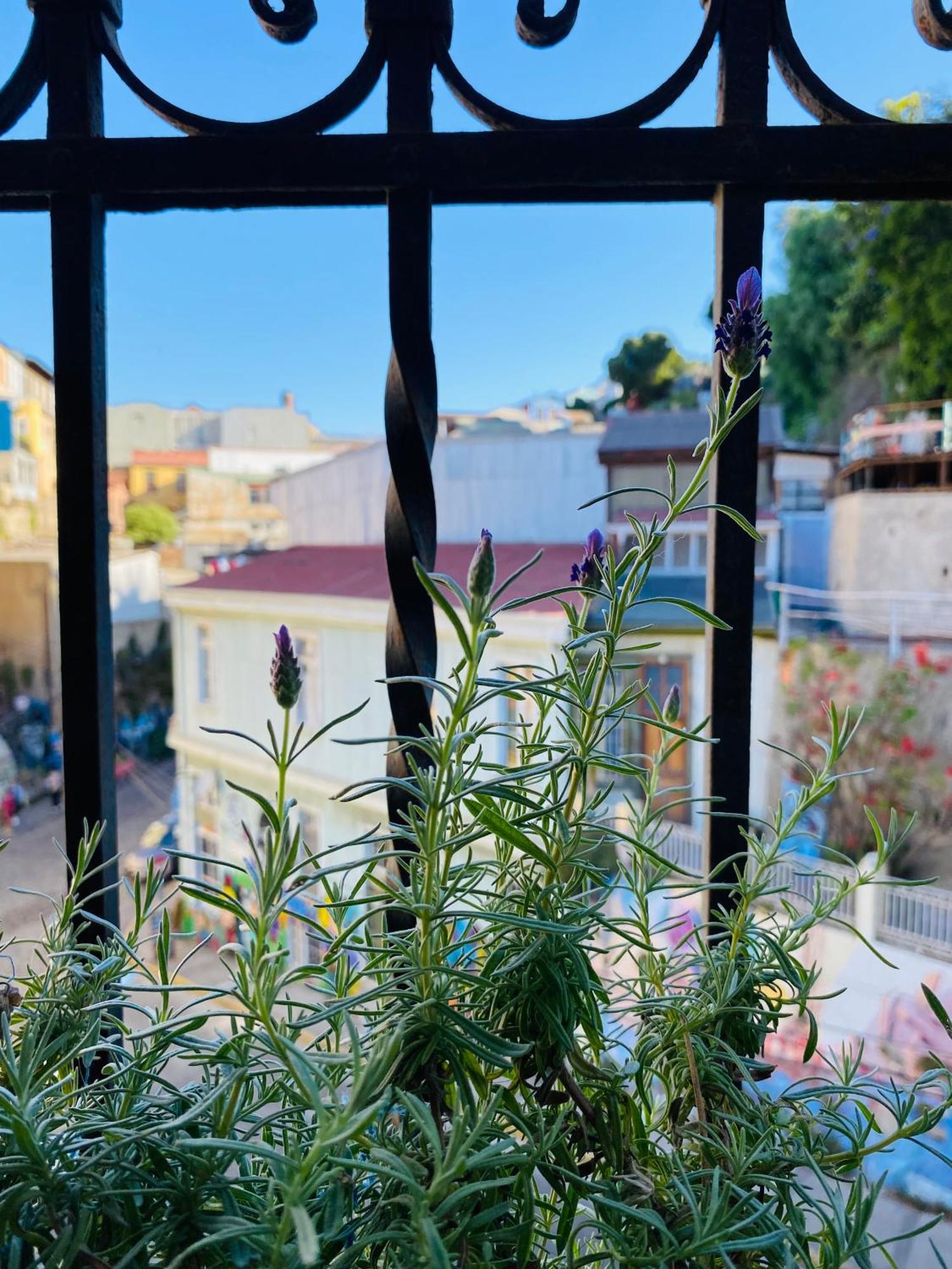 Casa Elias Hostel-Bavestrello 22 Valparaíso Εξωτερικό φωτογραφία